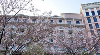 はるかぜ2013 フォトレポート