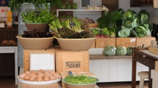 福津市のイタリア野菜「アプテカ」へ。