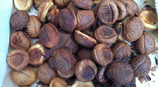 栗まんじゅう手作りワークショップ