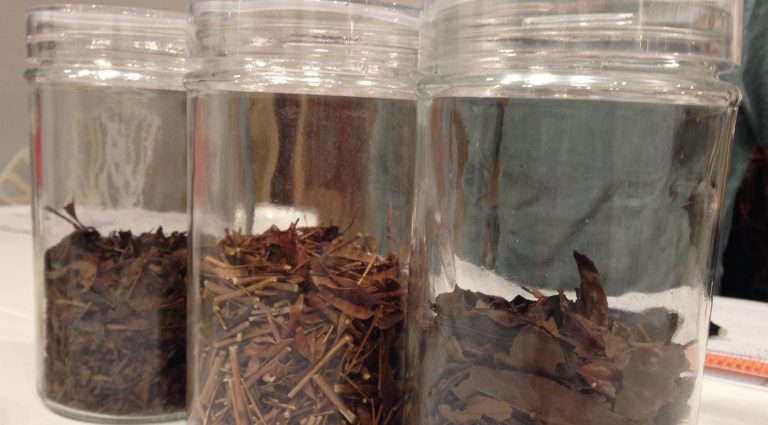 番茶の話［1月の穴バー］　　　　　