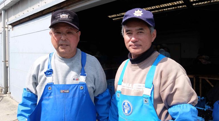 天然わかめは今が旬！わかめ収穫レポ