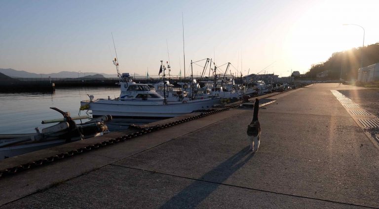 4月は志賀島（シカシマ）バー！［4月の穴バー］