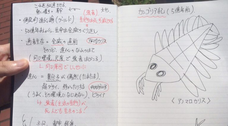 はたらかないで、たらふく食べたい 〜アナキストの精神で自由に生きよう〜