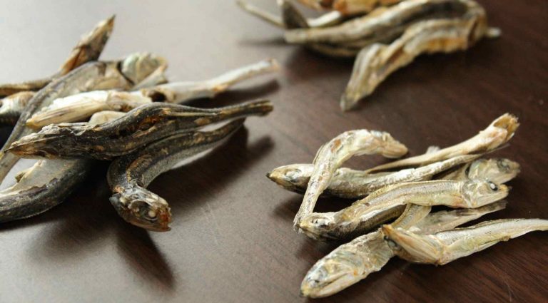 魚の目利きに教わる博多の鮮魚の味わい方。老舗海産問屋の3代目江美子さんと穴バー開店！［11月の穴バー］