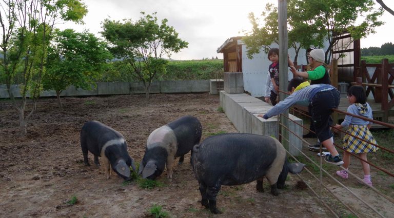 うまいを追求する熱い生産者に出会う！5/20開店「大隅半島うんまかバー」鹿児島県大隅半島を訪ねました。
