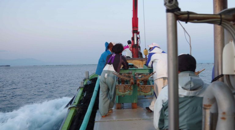 開店まであと1週間！大隅の豊かな海の幸、山の幸をたっぷりと召し上がれ！［5月の穴バー］