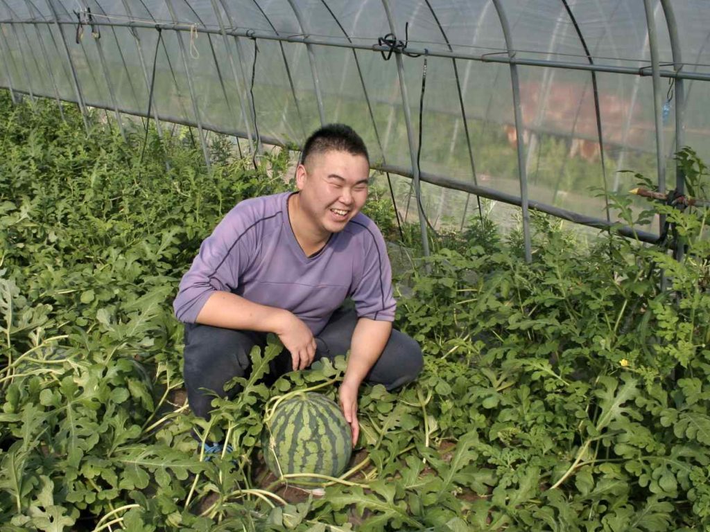 すいかとジャンボインゲンの生産者、武隈さん。就農して4年目、先輩農家さんから教えてもらいながら