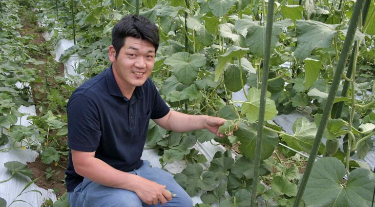 規格外のアイディアで商品開発。ゲストの綱田さんと山鹿の生産者さんをご紹介。開店まであと8日！［山鹿の野菜まつりバー］