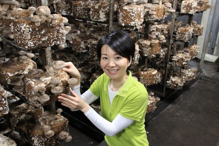 きのこ博士とジューシーしいたけが福岡県東峰村からやってくる！美味しくて奥深いしいたけワールドを博士と一緒に味わいましょう！[3月の穴バー]