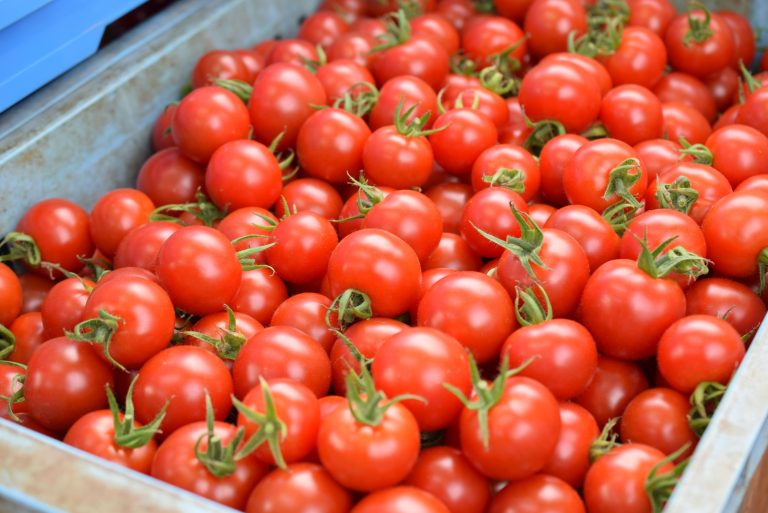 佐賀県から名脇役を連れて、「永尾産ち」の甘くて濃い味トマトがやってくる！型破りな“永尾産ち流”トークも楽しみましょう