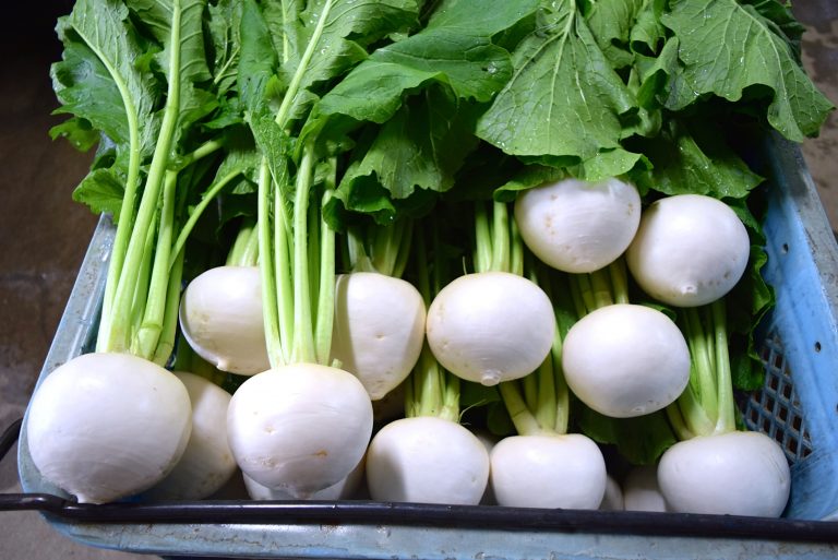 森光さんおすすめの簡単レシピ伝授と販売もあり！純白できめ細やかなかぶをいただく「根菜人 森光さんのかぶバー」1/19開店！[1月の穴バー]