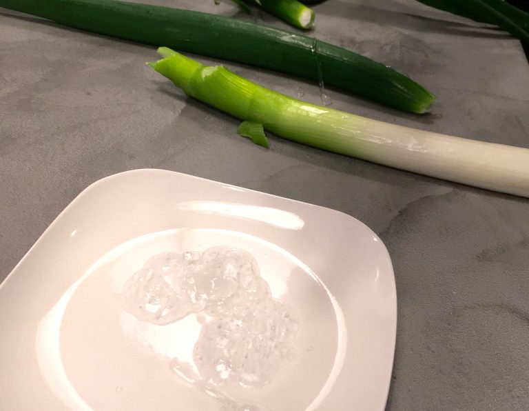 新鮮なネギの葉から飛び出す「とろとろ」を体験できる！2月の穴バーは16日に開店します[2月の穴バー]