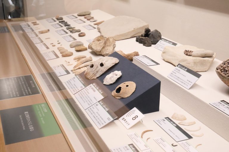 「貝」から日本の歴史文化がわかる！？博多湾岸で福岡市博物館の学芸員さんと掘りおこす、日本の歴史と食文化