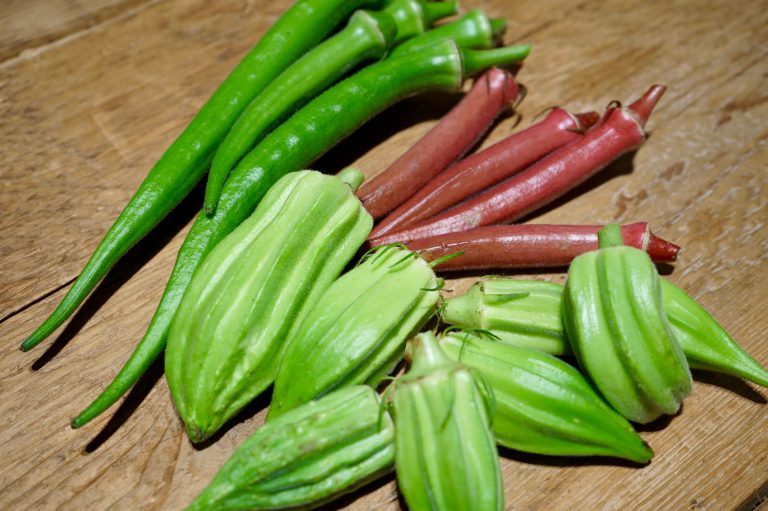 赤い「テキサス」に10角形「デイビッド」、海外生まれ糸島育ちの珍オクラがやってくる！オクラマスター鍛治さんと「ネバネバオクラバー」7/20開店！[7月の穴バー]