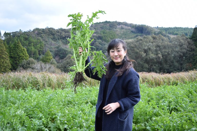 宮崎鶏やきんかんと合わせていただくレア野菜「いらかぶ」を味わいましょう。いらかぶバー 1/18開店まであと10日！[1月の穴バー]