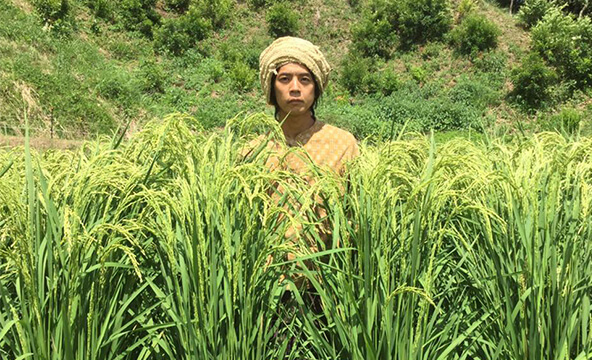 自分の手で育てた米から、麹を作り、味噌と醤油を作り、昔ながらの百姓暮らしを実践する、発酵農園のお話。