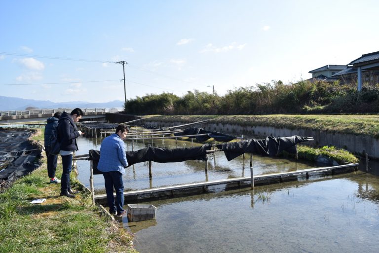 福岡県朝倉市の黄金川だけで自生する不思議な「川茸」が主役。遠藤金川堂17代目遠藤さんと窪津シェフと掘り起こします[3月の穴バー]