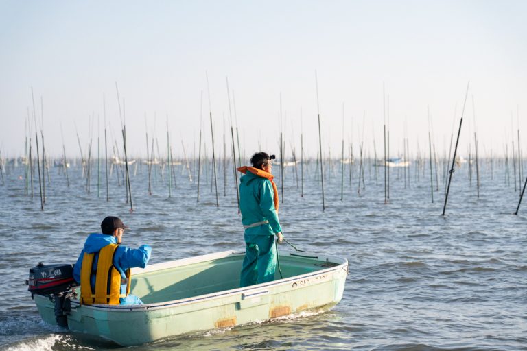 有明海苔の「初摘み」が穴バーに届きます。大川の若手海苔漁師さんを迎える「有明海苔バー」は5/17開店です　[5月の穴バー]