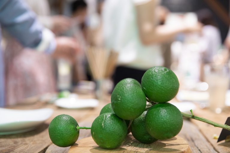 寒暖差と独自の栽培技術が品質の高さをつくる。 主要産地の大分県竹田市のカボスの魅力をご紹介。