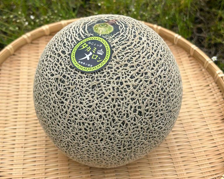 土を育て、土にまかせる。小さな島で極上メロンが育つ理由。【長崎県小値賀島のメロンと島のうまいもの6/17開催！】