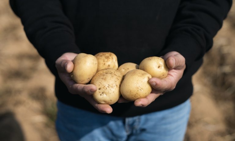 雲仙の温泉をたっぷり味わう、1日限りのポップアップレストラン。3/14（金）に開店！